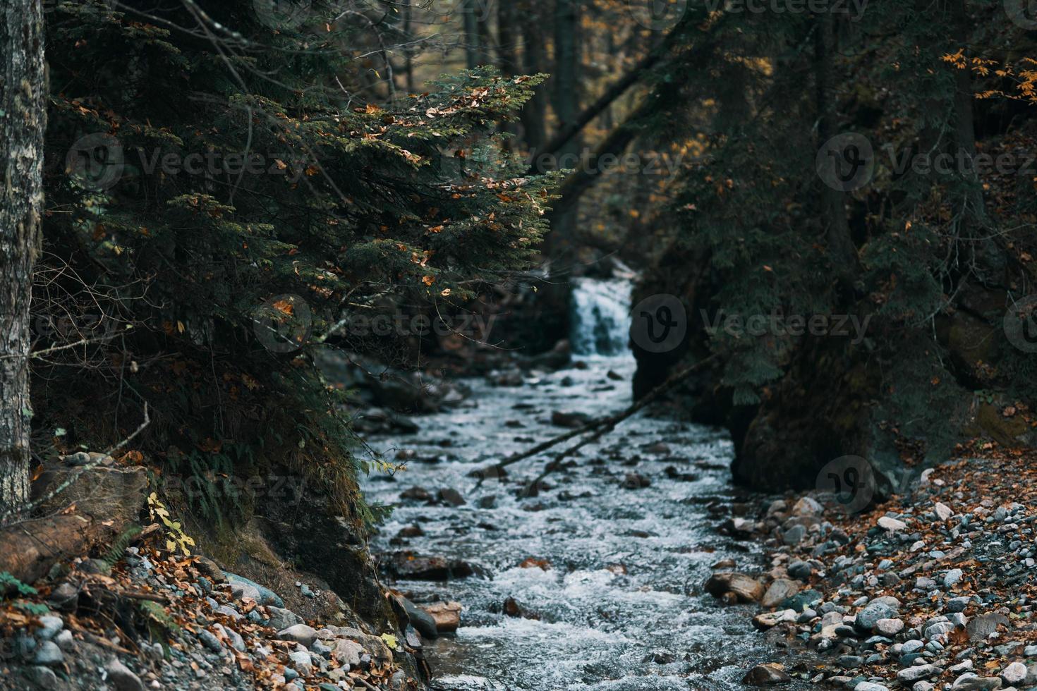 nature mountains forest river landscape travel photo