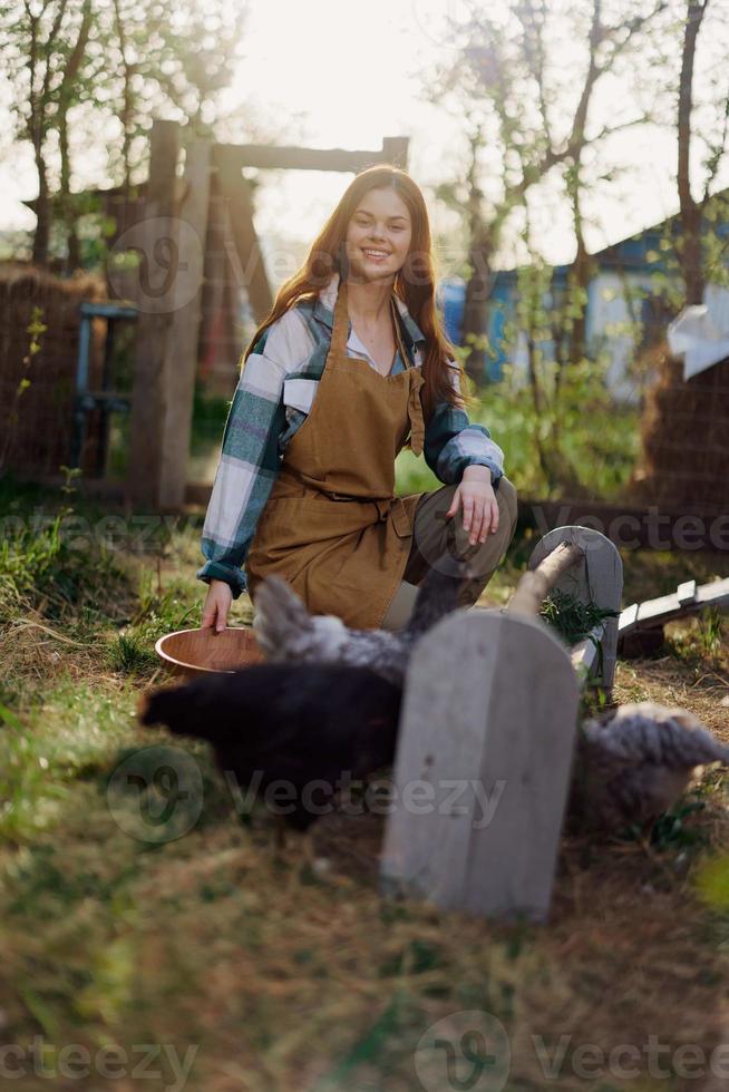 A beautiful woman works on a farm and pours fresh food from a bowl and feeds the chickens and makes sure the food is clean and organic for the health of the faces and chickens on a summer sunny day photo