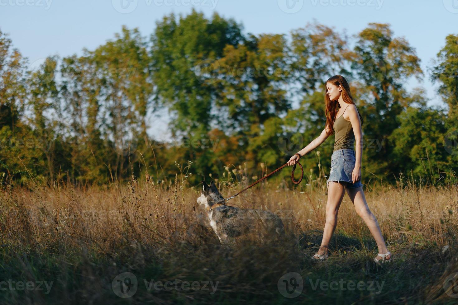 Woman and her husky dog happily walk and run through the grass in the field smile with teeth fall sunset walk with a pet, travel with a friend dog happiness lifestyle photo