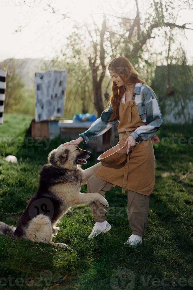 Woman stroking her big furry dog on. farm in the countryside against a backdrop of clean laundry on a rope photo