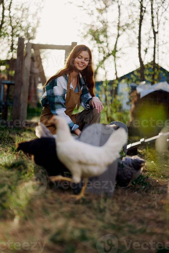 A beautiful woman works on a farm and pours fresh food from a bowl and feeds the chickens and makes sure the food is clean and organic for the health of the faces and chickens on a summer sunny day photo