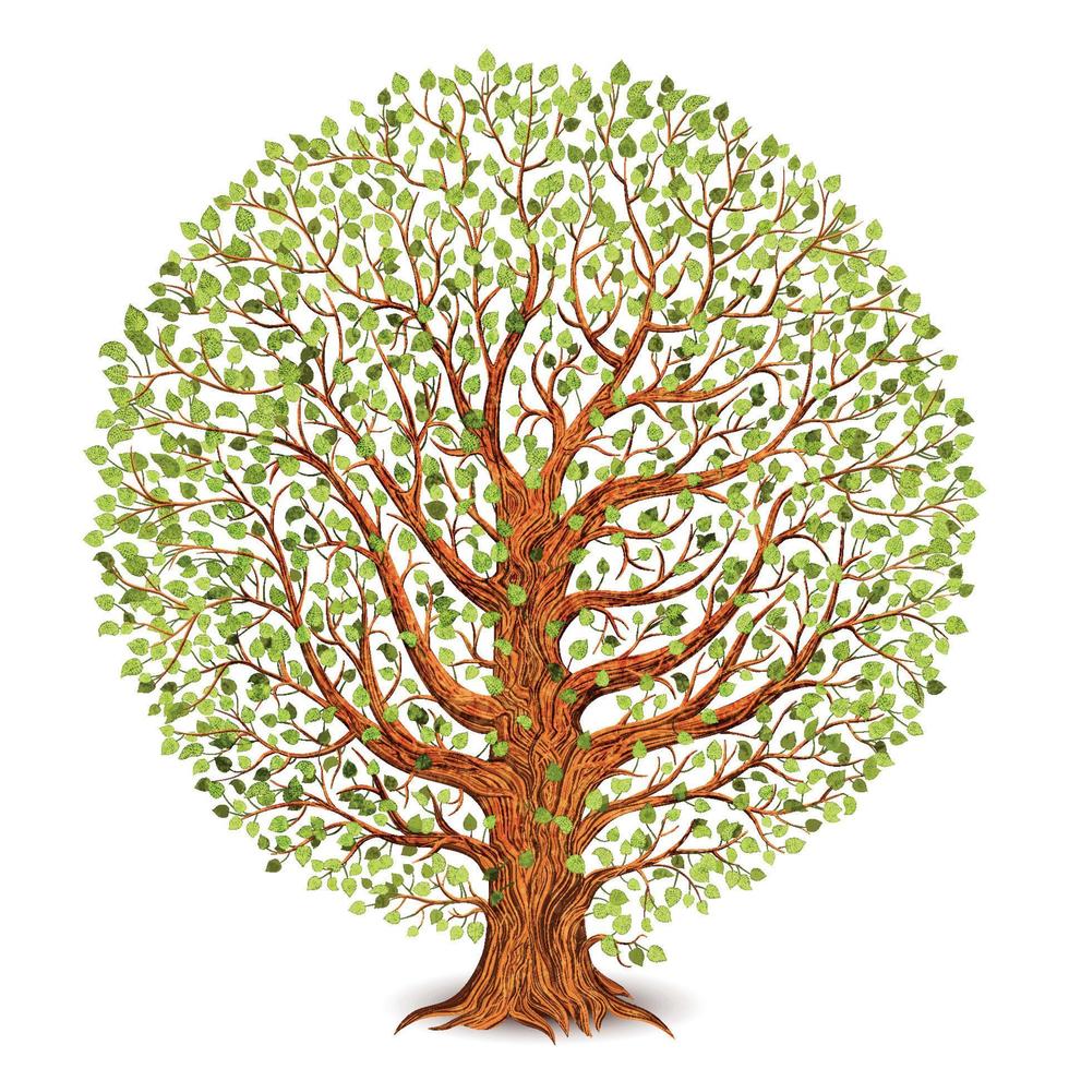árbol aislado en blanco antecedentes. vector ilustración.