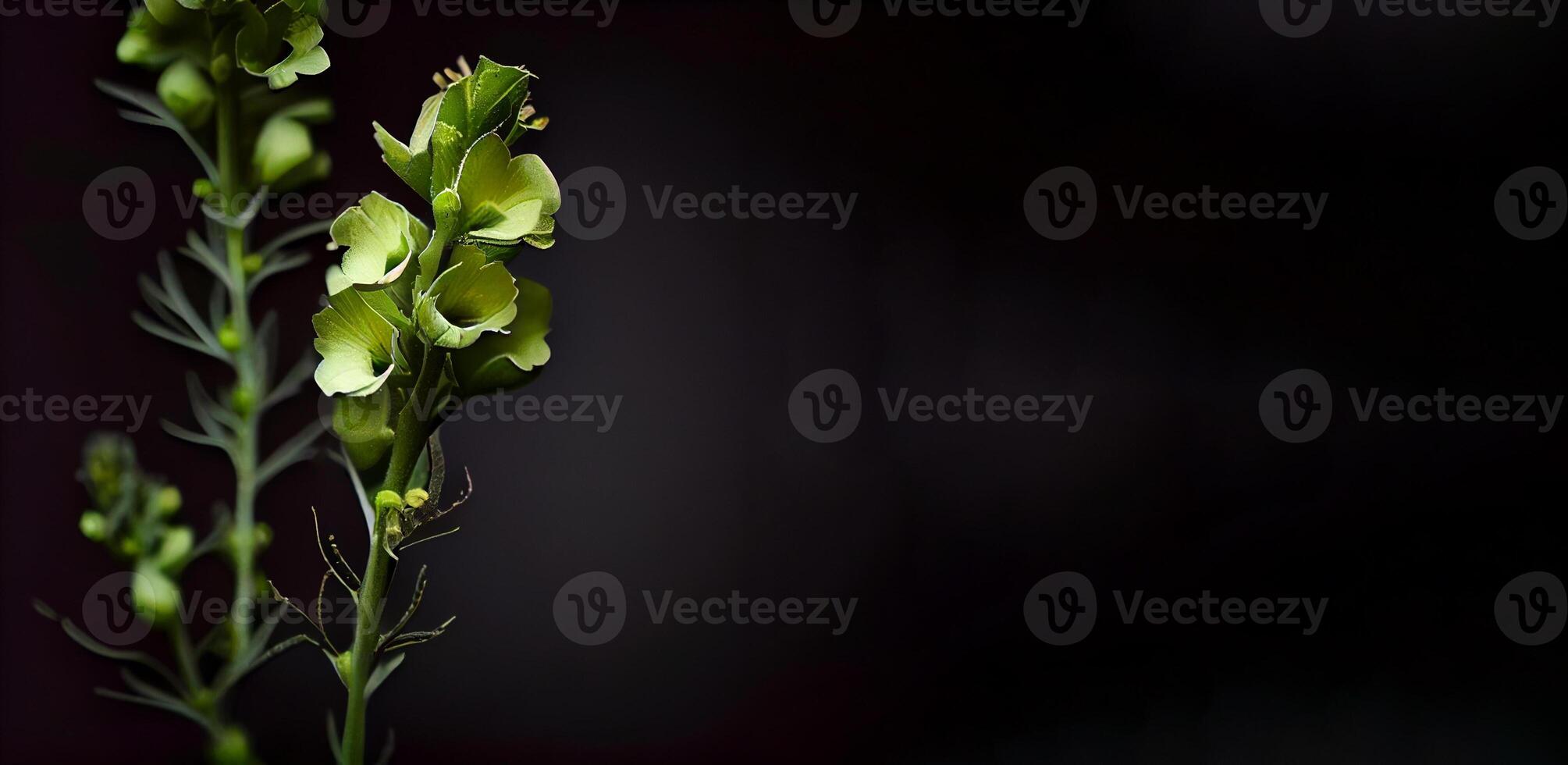 oscuro dedalera flor en negro antecedentes ai generado foto