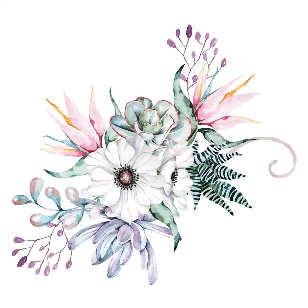 Bouquet flowers anemone, echeveria with watercolor.Hand drawn botany floral.For wedding and valentine.Natural vintage style.Suitable for decorating invitation cards. vector