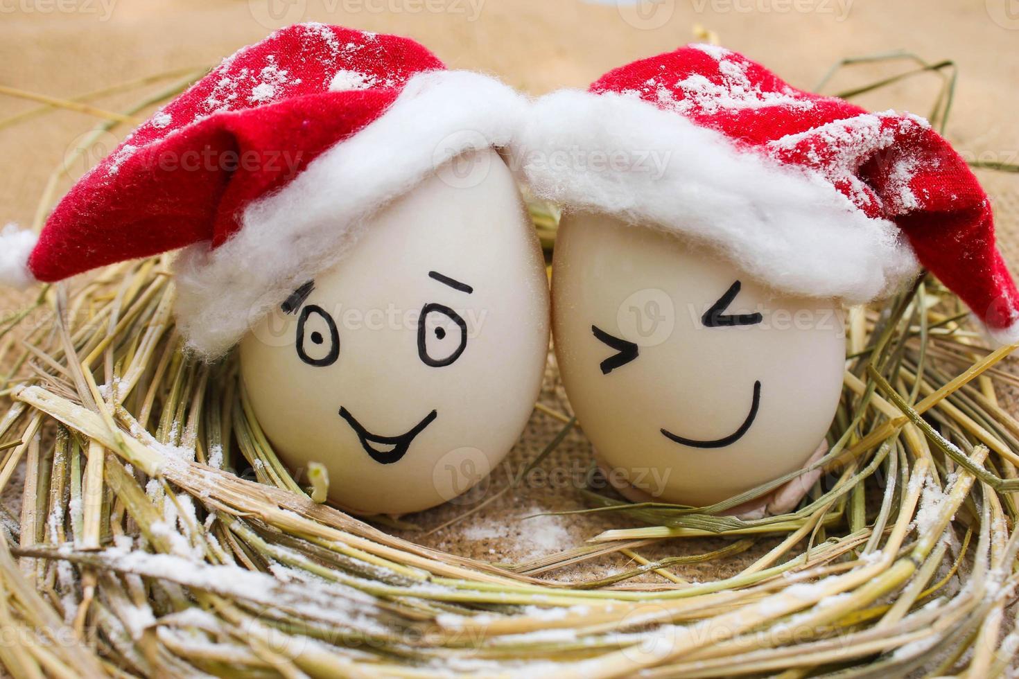 Happy eggs at Christmas. photo