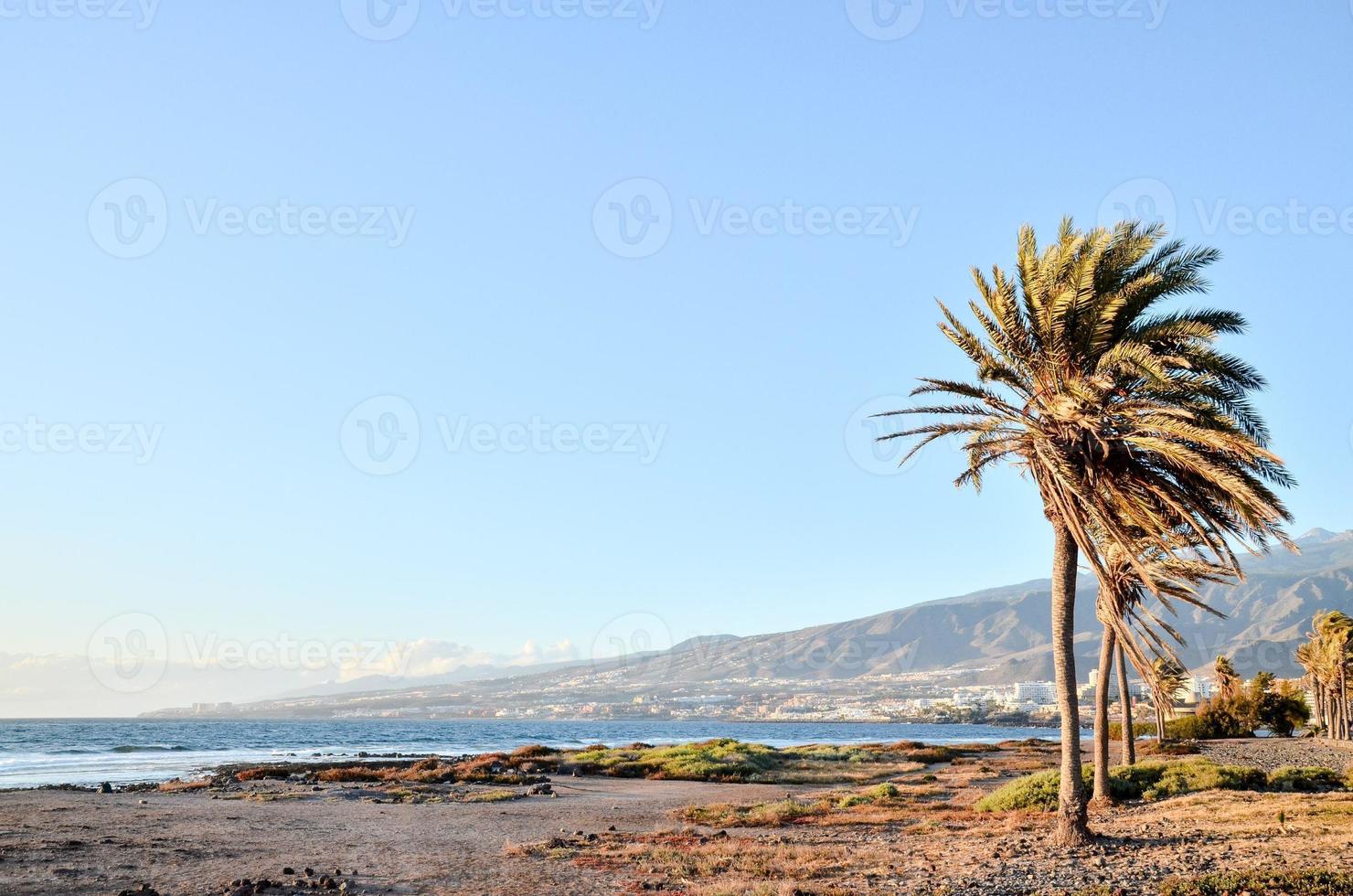 Scenic ocean view photo