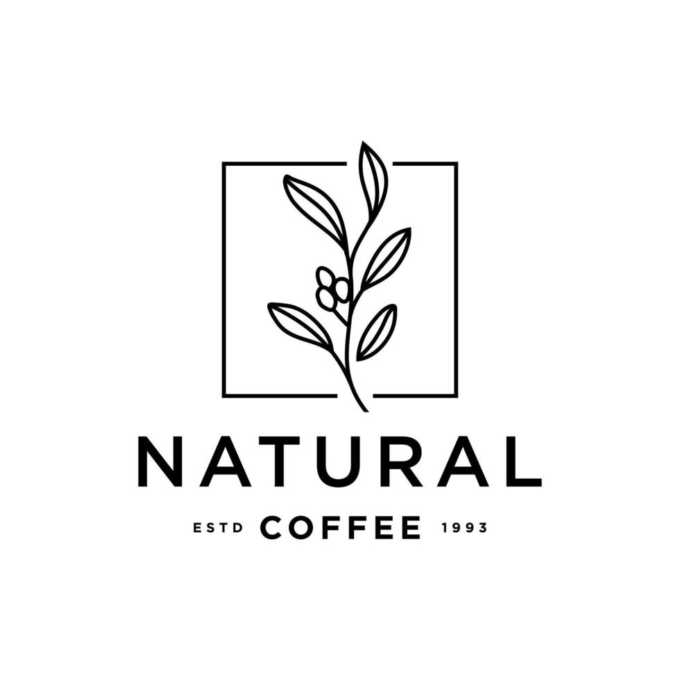 natural coffee logo concept, coffee bean plant branch hipster minimal logo vector with leaf simple line outline icon for natural cafe concept.