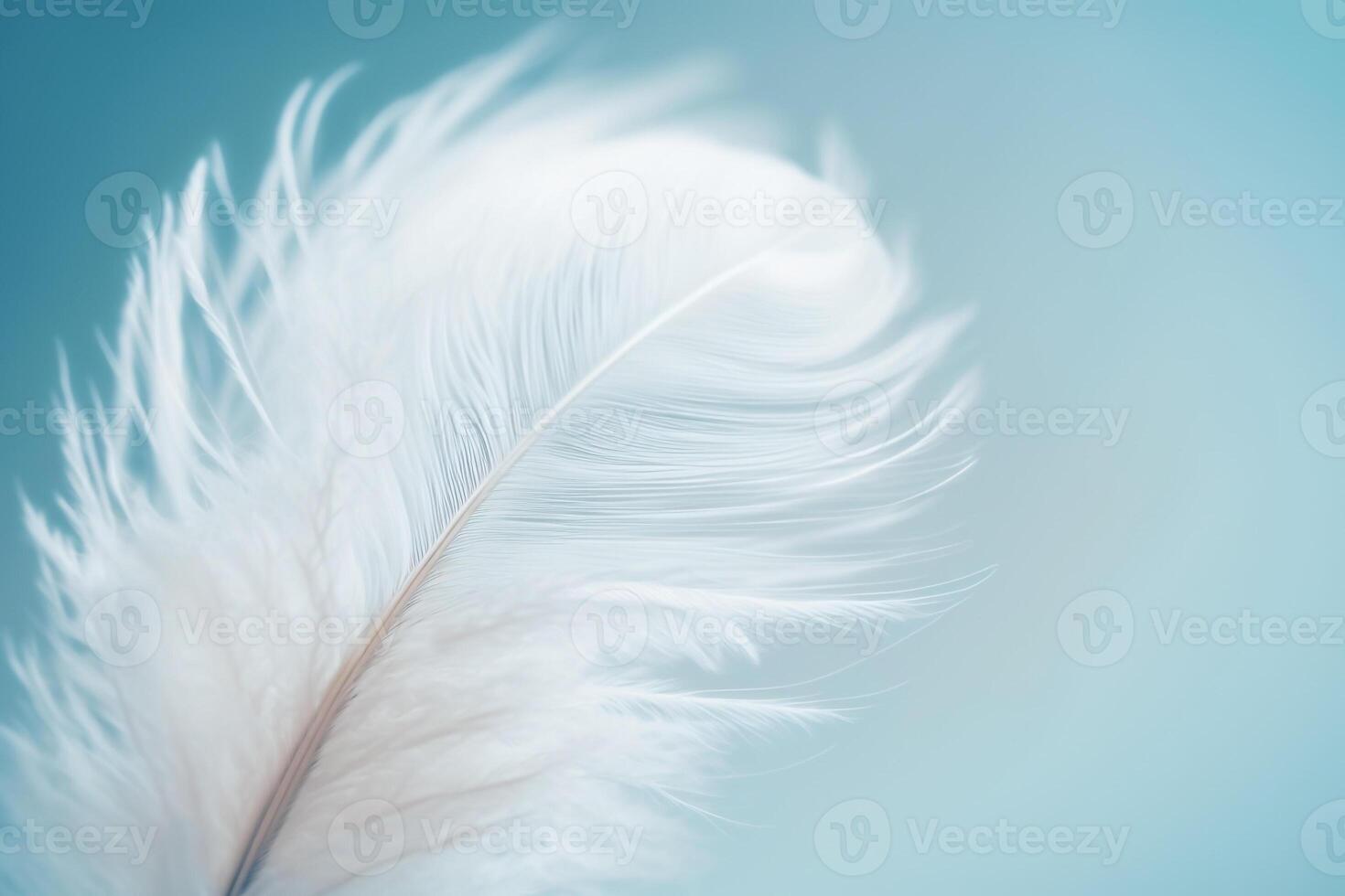 white delicate air feather on a blue background photo