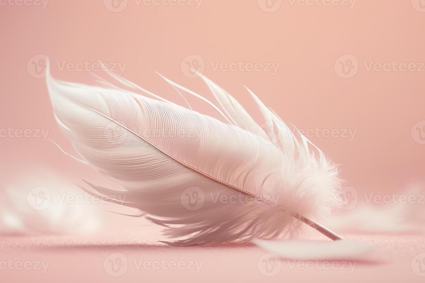 peach pink delicate air soft feather photo