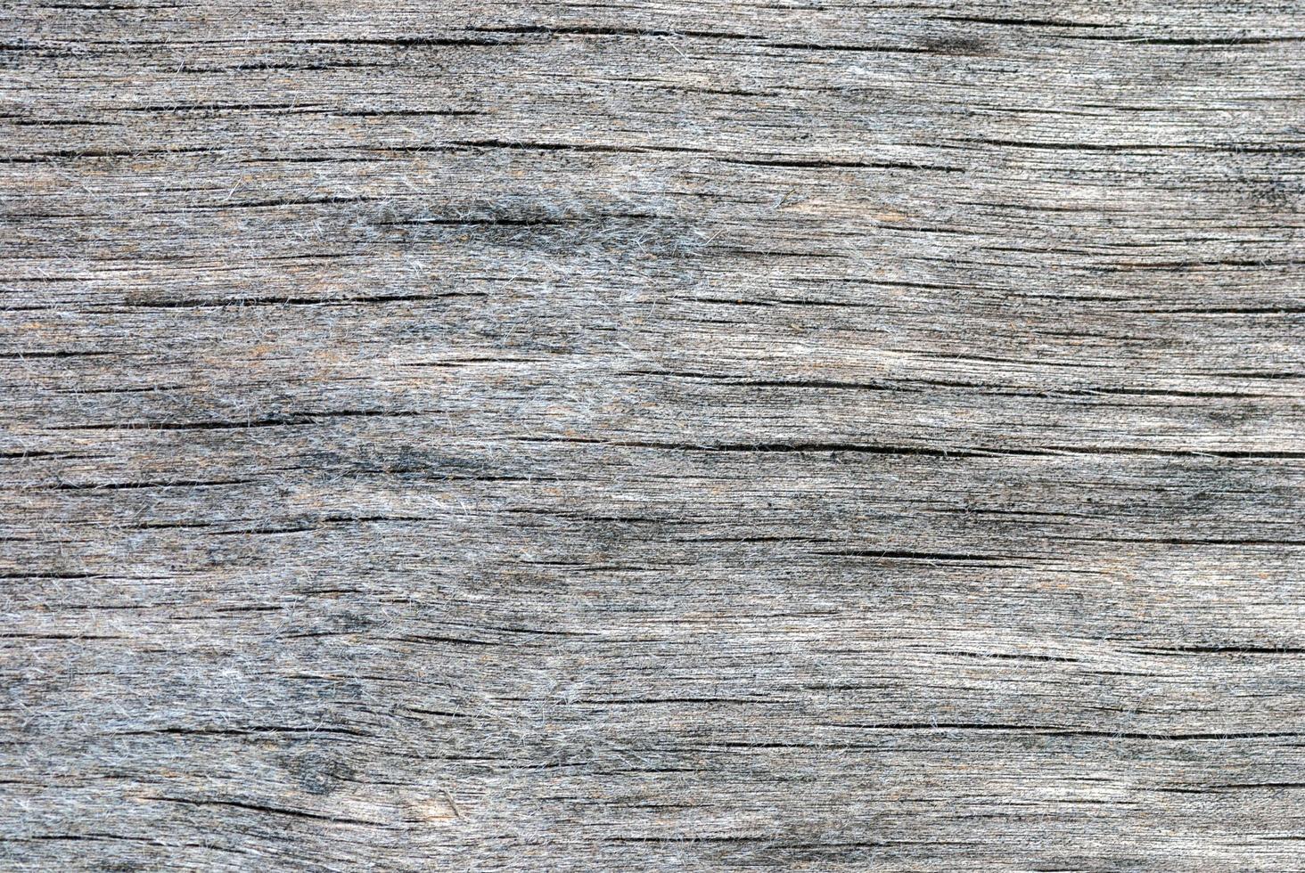 plywood weathered gray texture with wood fiber, cracks and stains of rot and mould photo