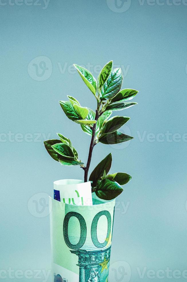 Plant growing in Euro bill for money growth and European economy concept photo