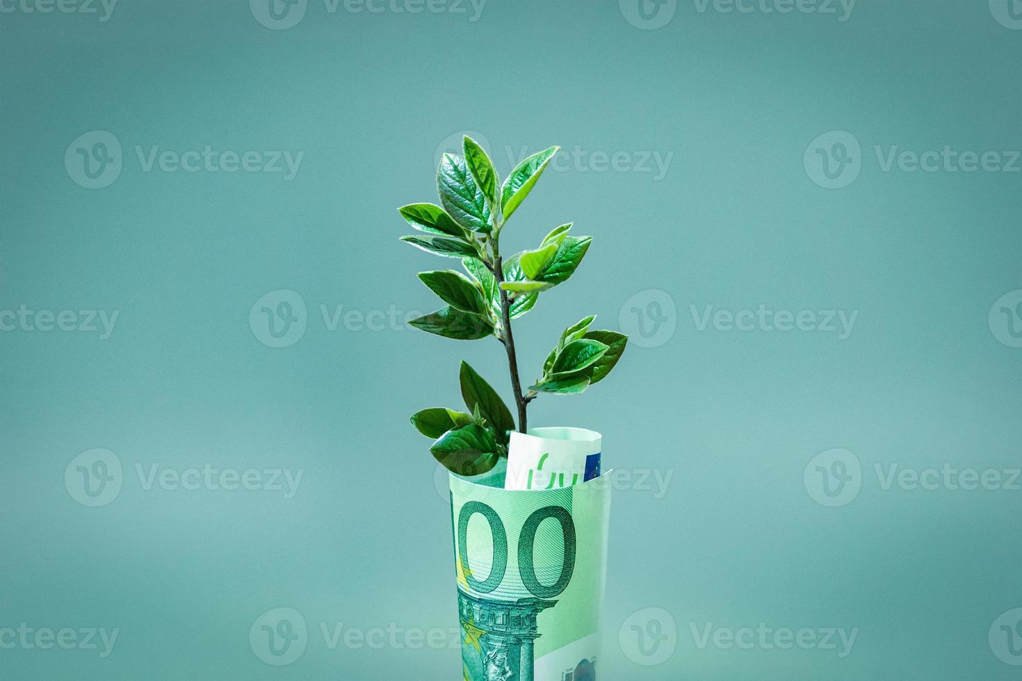 Plant growing in Euro bill for money growth and European economy concept photo