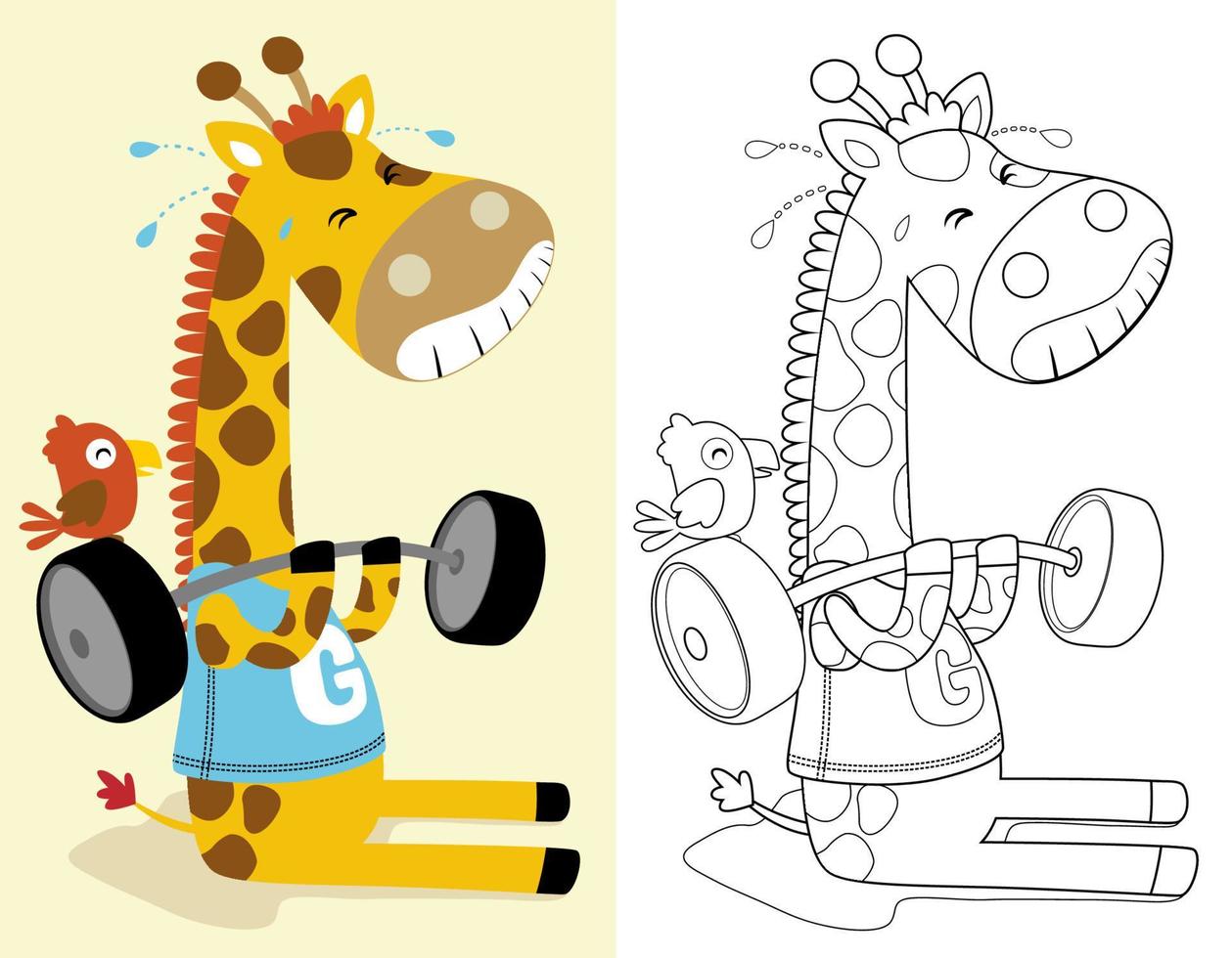 colorante libro o página de gracioso jirafa dibujos animados levantamiento pesado barra con pesas con pequeño pájaro vector