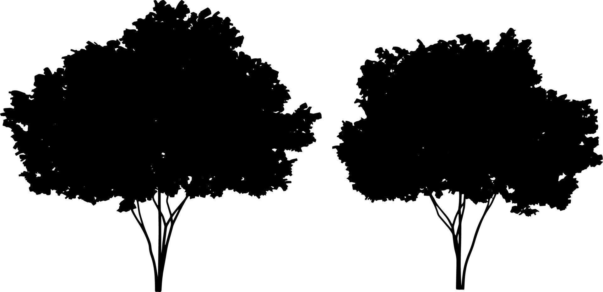 Set of tree silhouettes black color isolated on white background vector