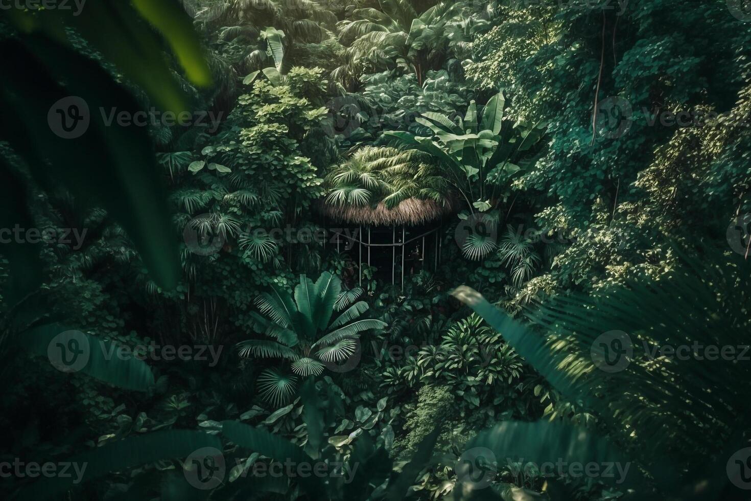 green jungle forest top view illustration photo