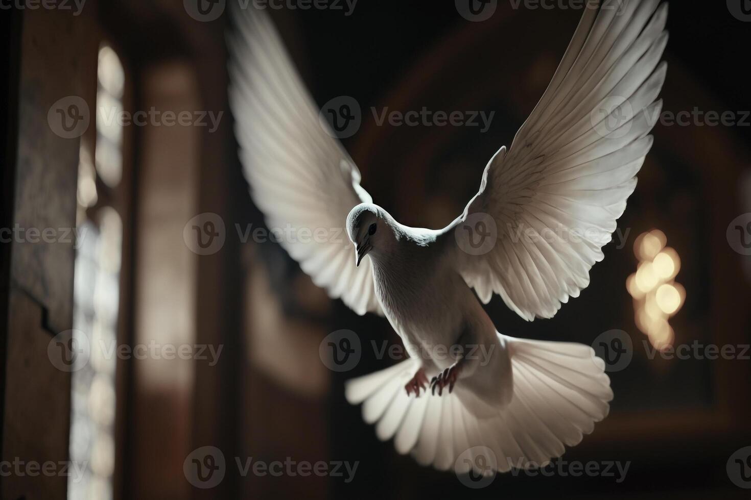 white dove in a dark room churches photo