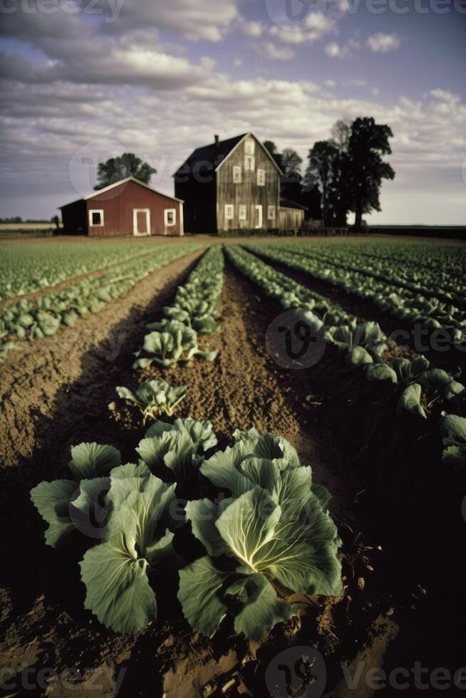 local farm practicing sustainable agriculture. photo