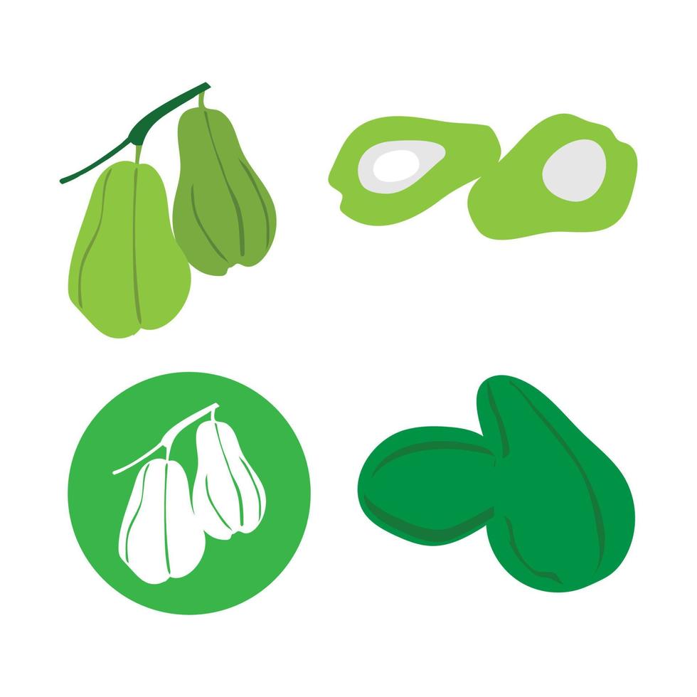 chayote Fruta icono vector