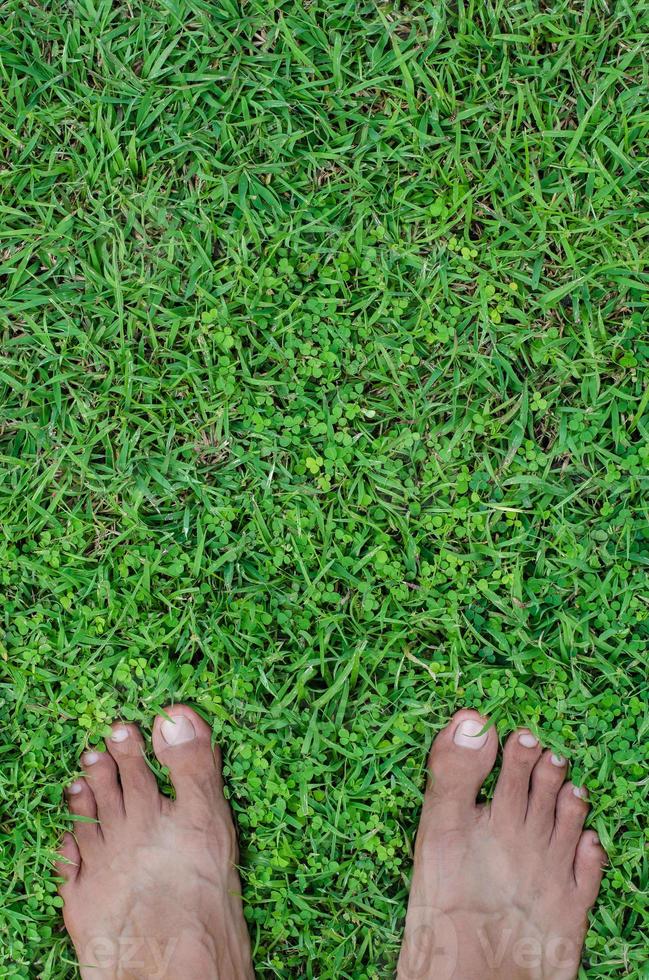 Feet on Green Field of Lawn for Concept Background photo