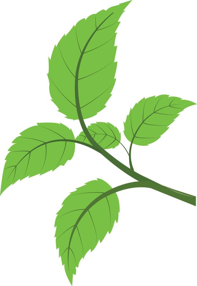 leaf art design. vector