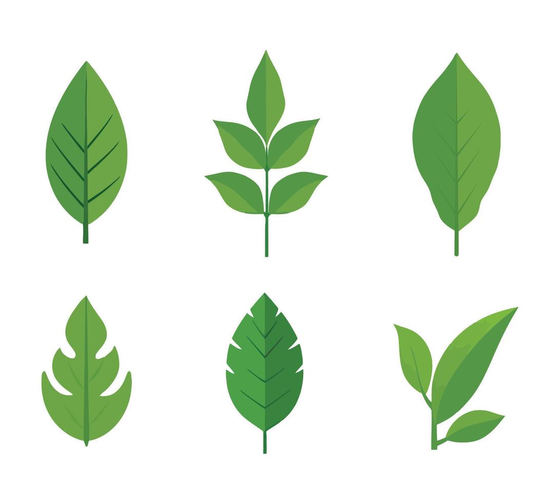 Set of green leaf icons. Leaves on white background. Ecology. Flat vector illustration.