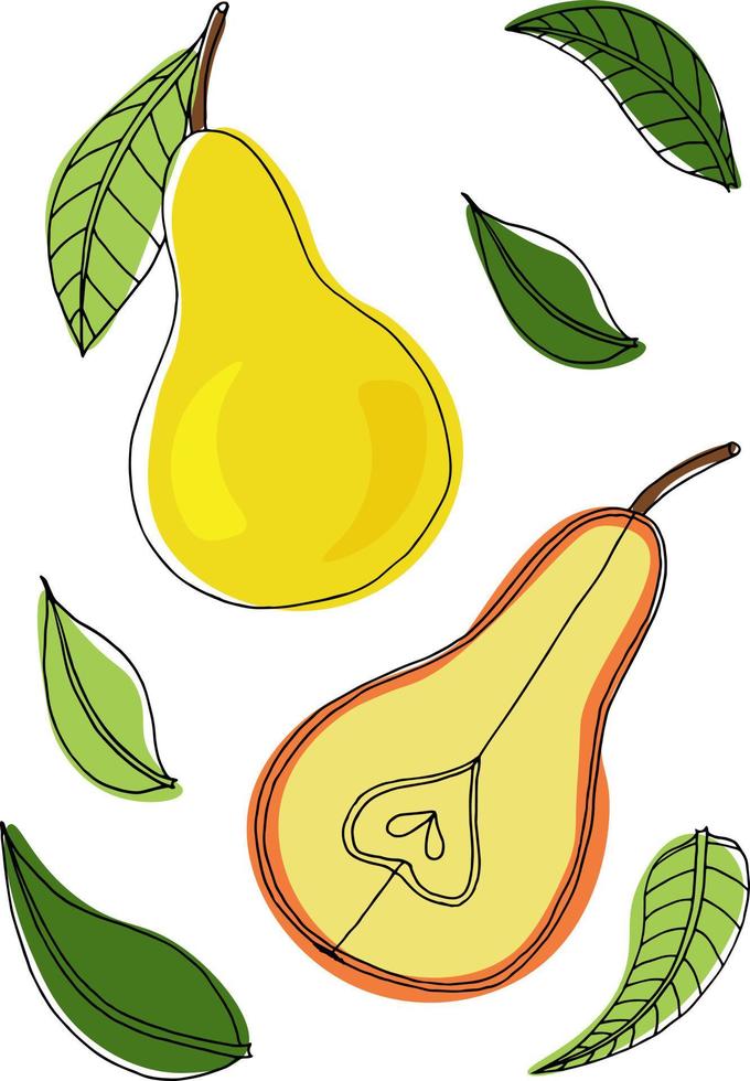 Botanical illustration in the style of doodles. Juicy pears with leaves. vector