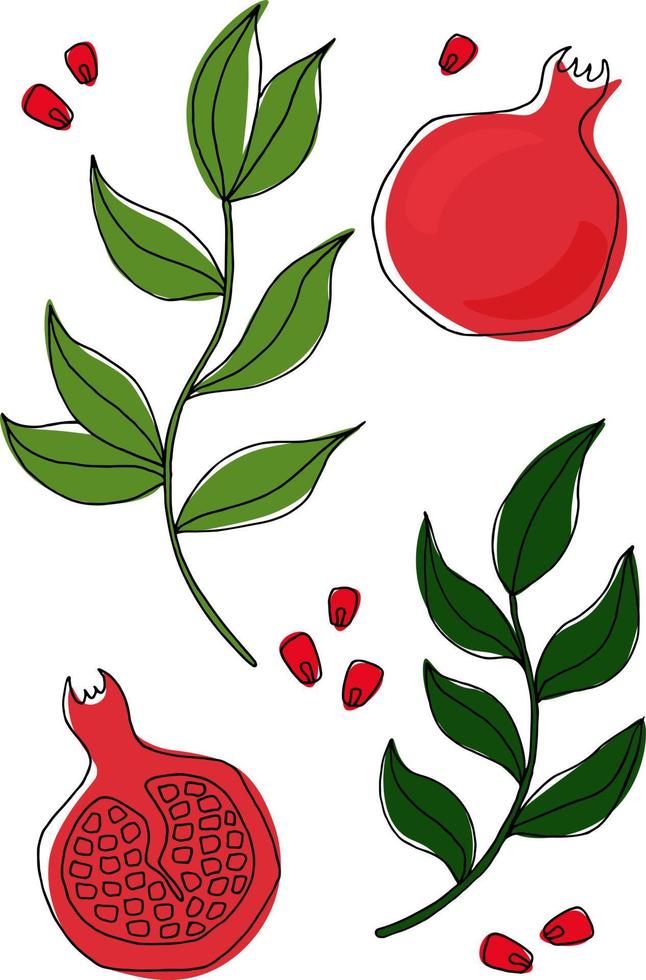 Set with pomegranate branches with leaves vector