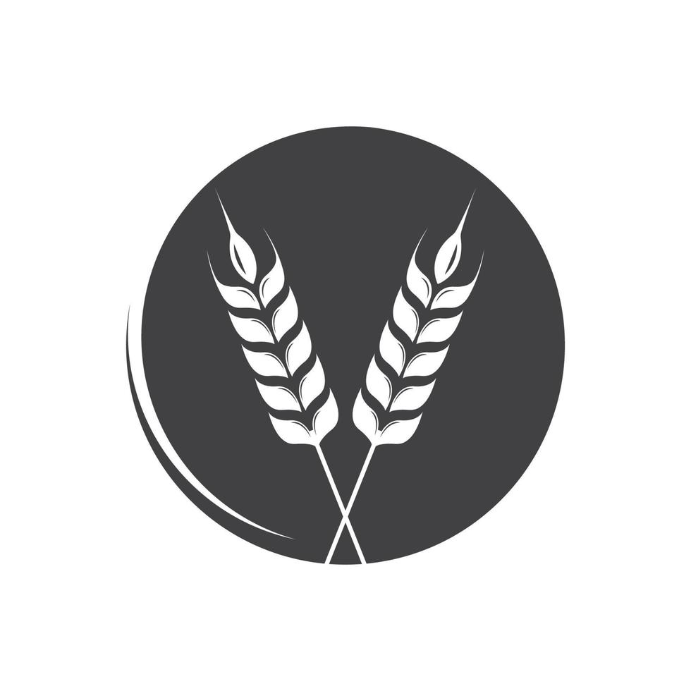 Agriculture wheat Logo Template vector icon