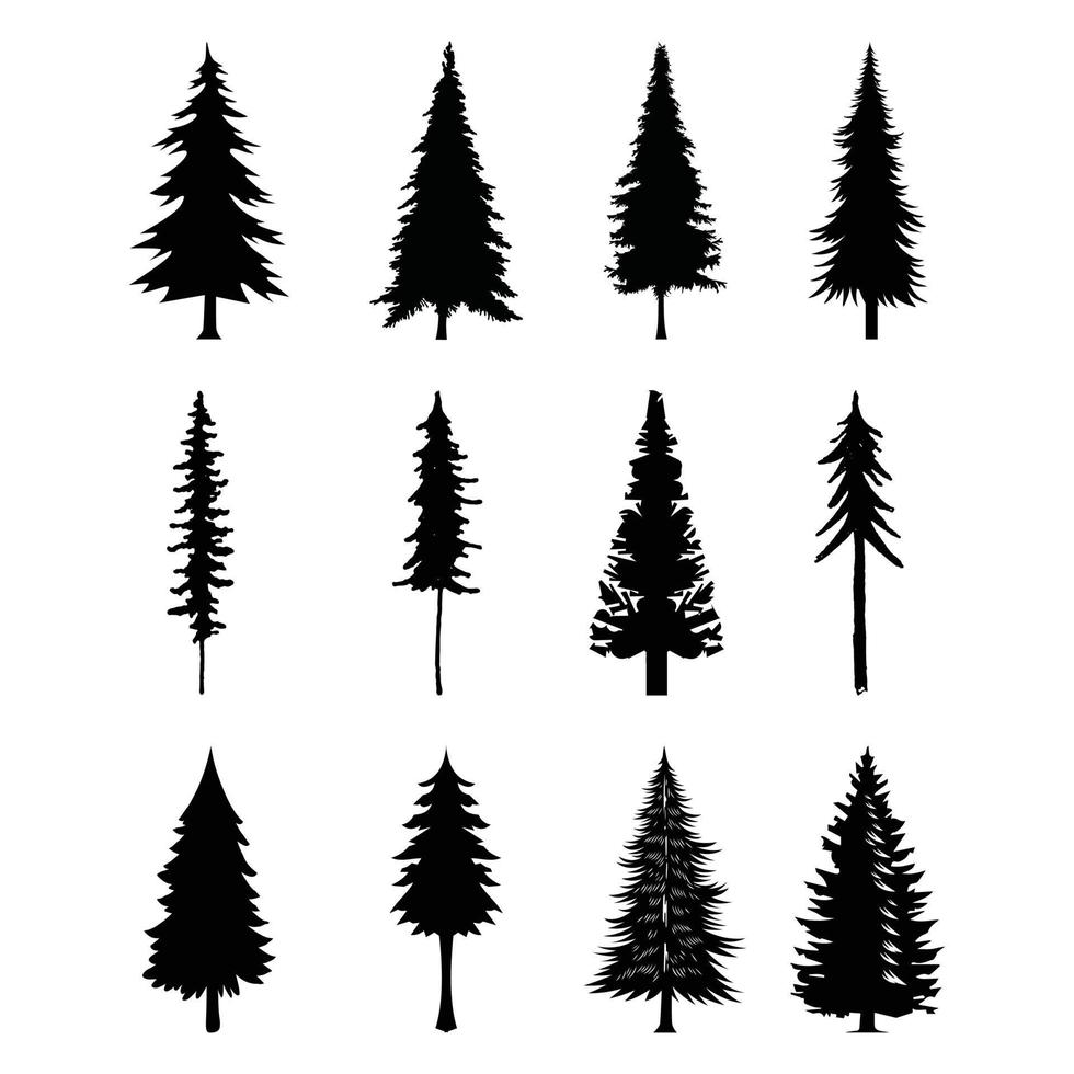 12 professional pine trees silhouette set 2 vector
