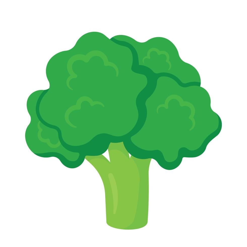 Broccoli Icon Clipart Vegetable Cartoon Doodle Vector Graphic Illustration