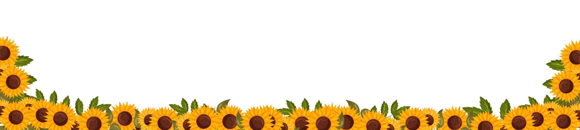 Spring horizontal frame with sunflower flowers. Summer vector banner