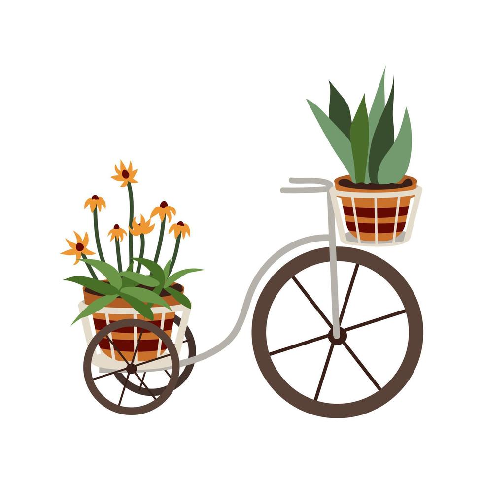 Vector decorative bicycle with flower pots. Bicycle for garden decor with blooming flowers. Stylish garden object. White isolated background.