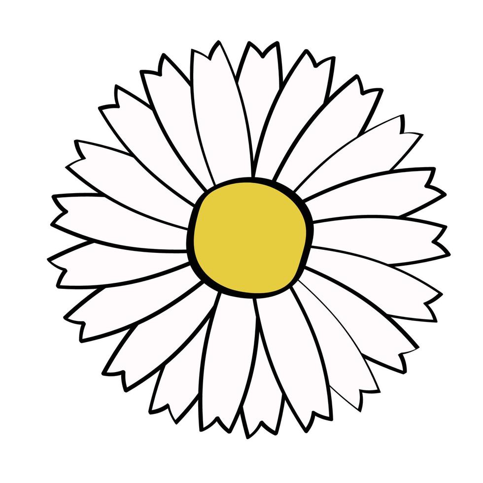 hand drawing flowers element set 01 vector