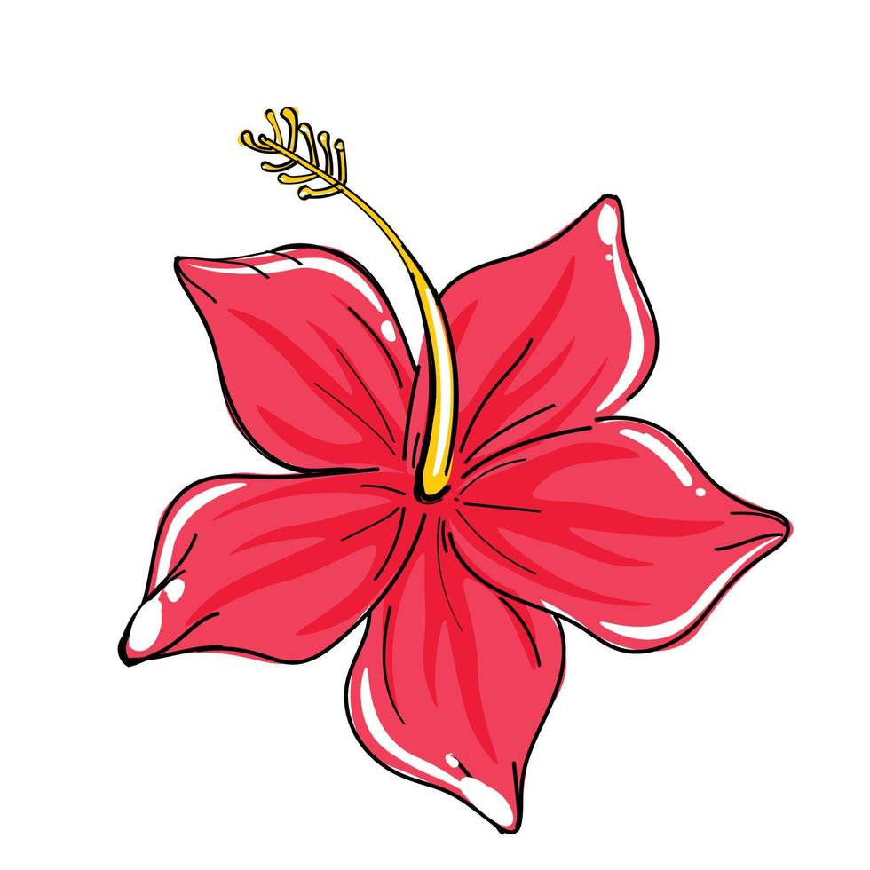 mano dibujo flores elemento conjunto 01 vector