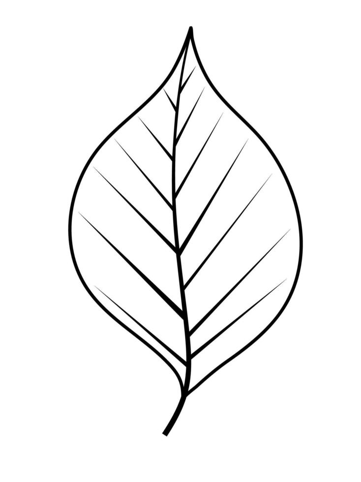 Simple Leaf Vector Illustration EPS10