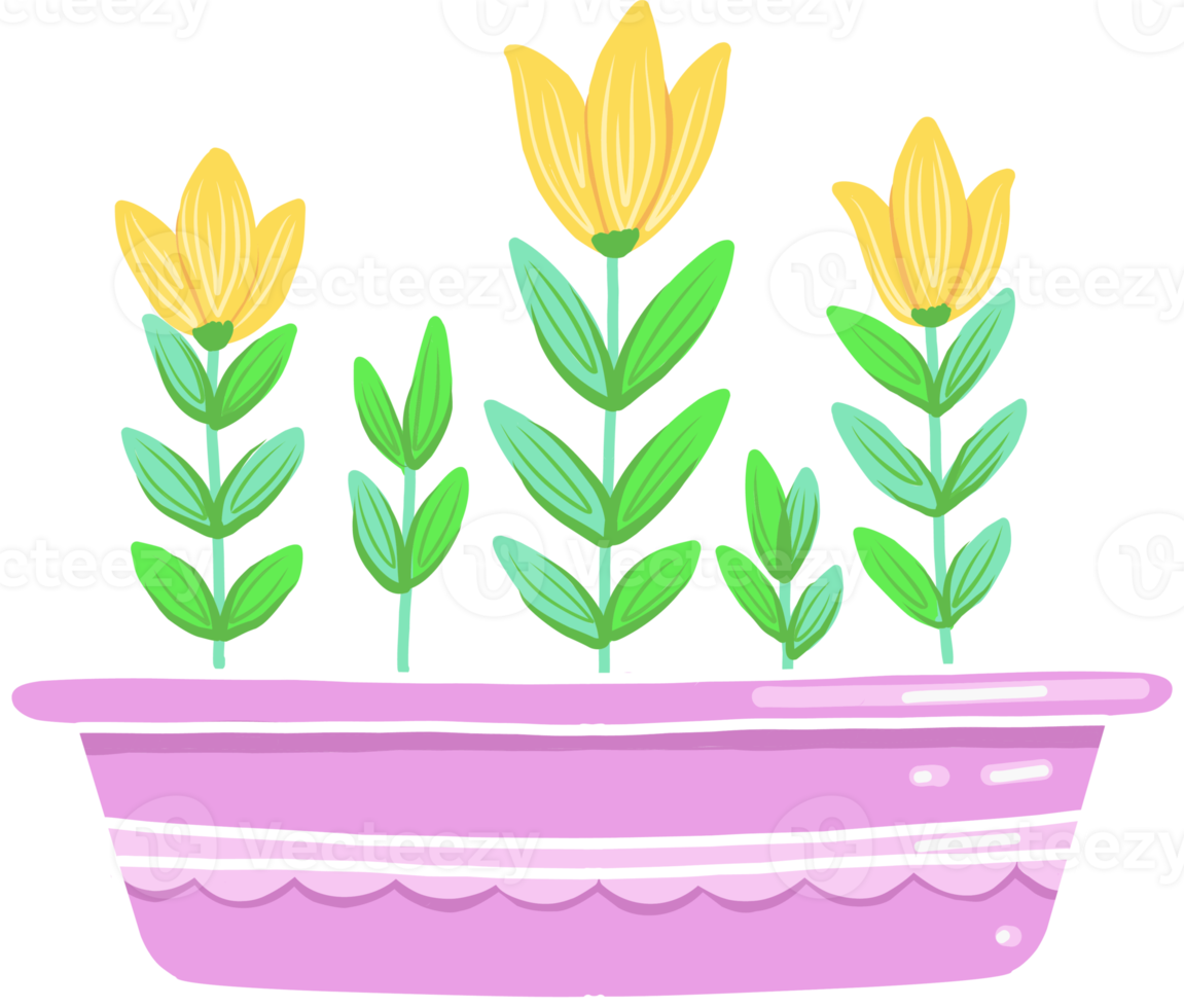 painted elements spring yellow flowers in a balcony pot.lily,crocuses png