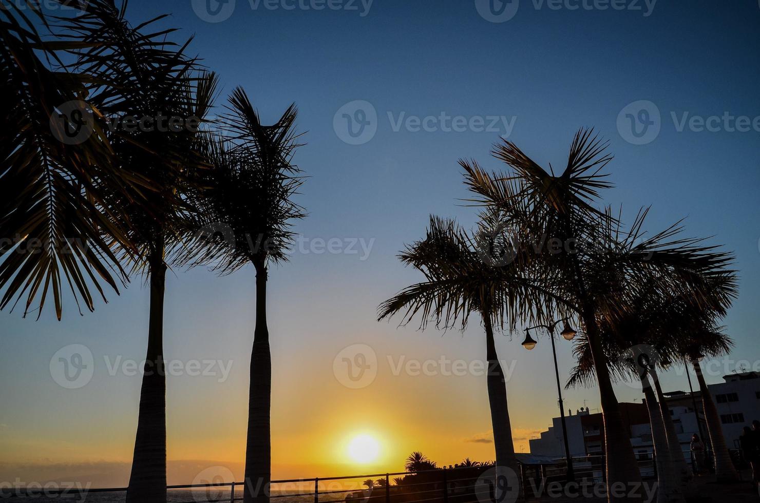Coastal sunset view photo