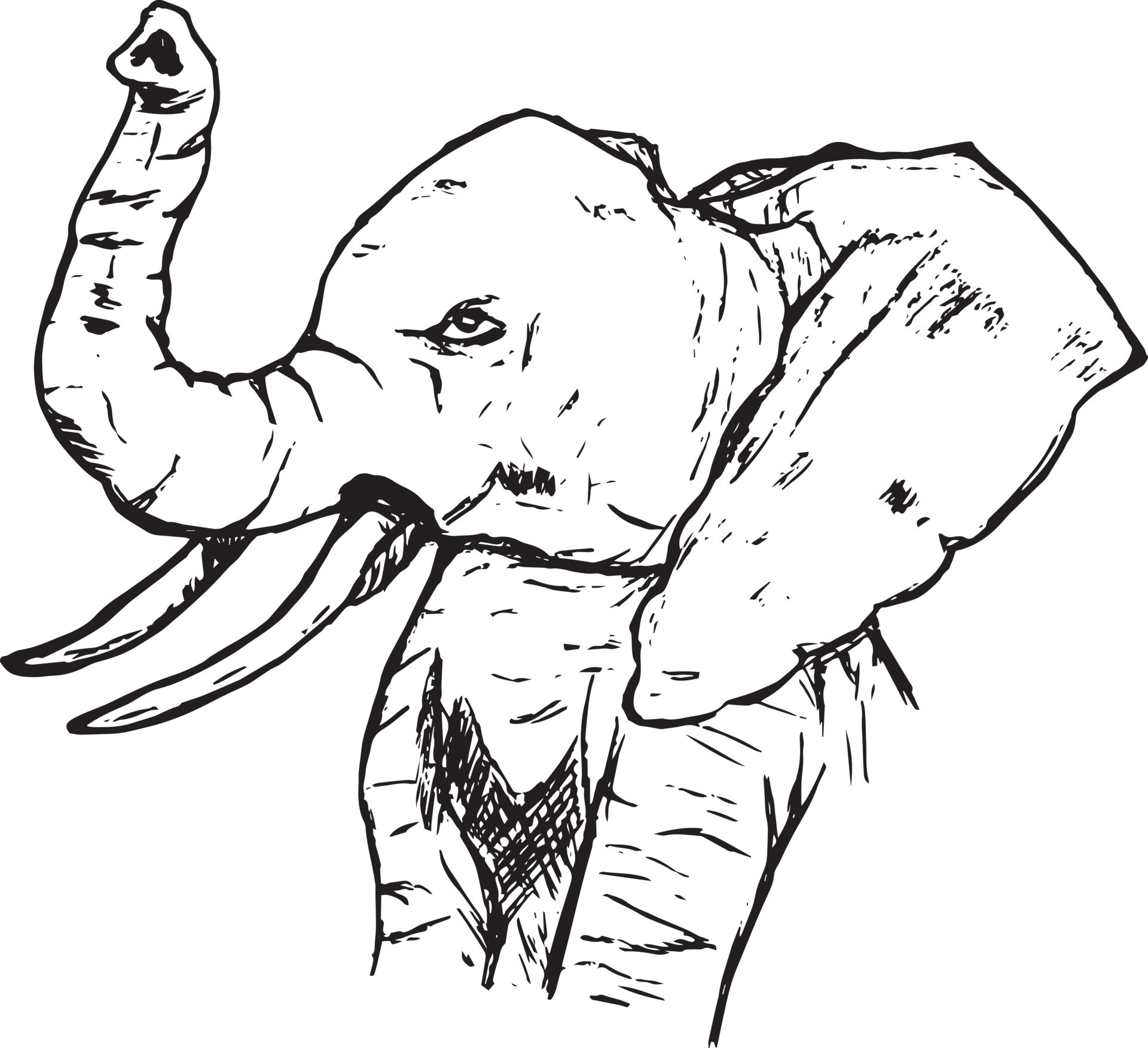 black and white Elephant illustration 22091179 Vector Art at Vecteezy