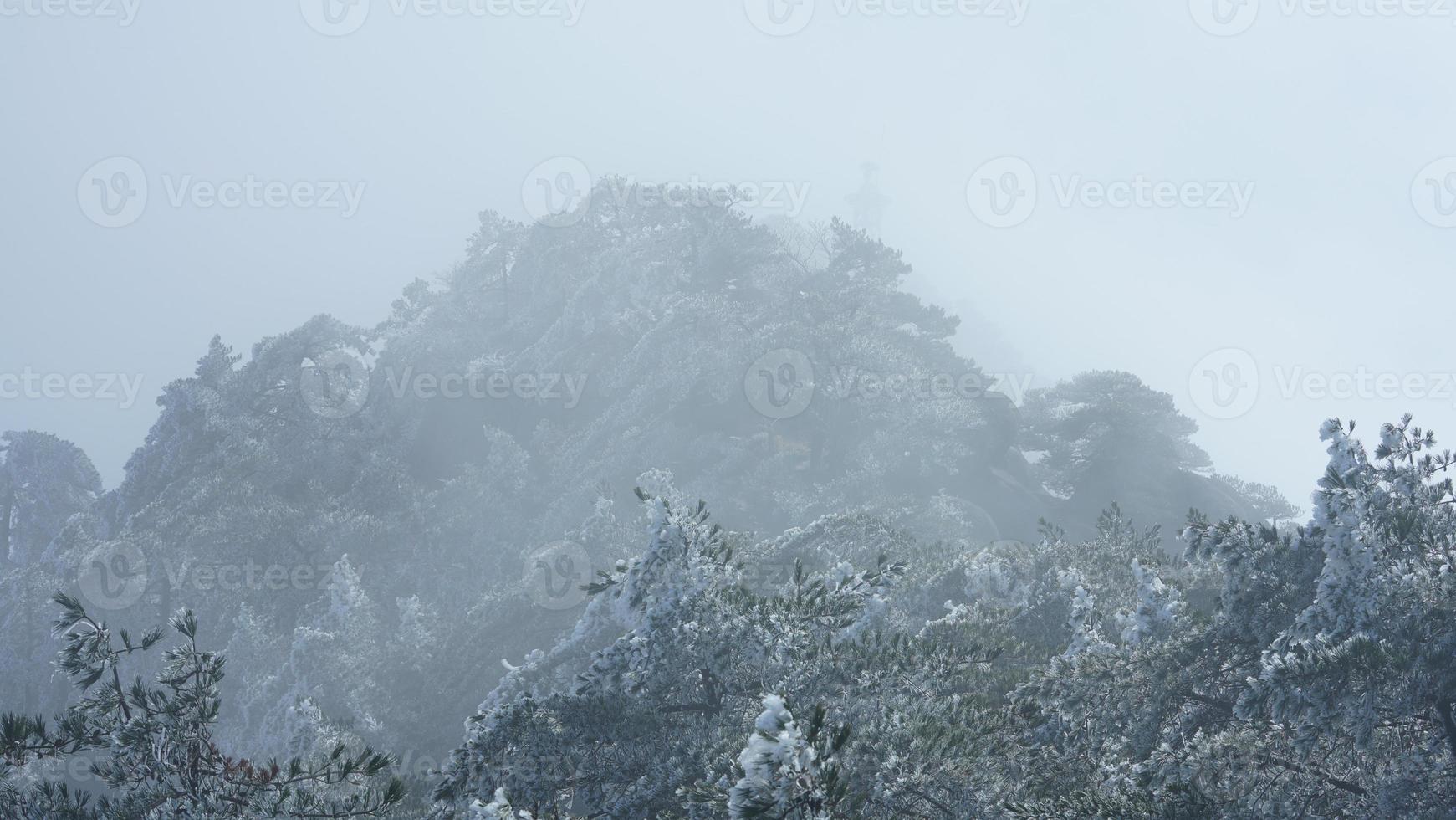 The beautiful frozen mountains view coverd by the white snow and ice in winter photo