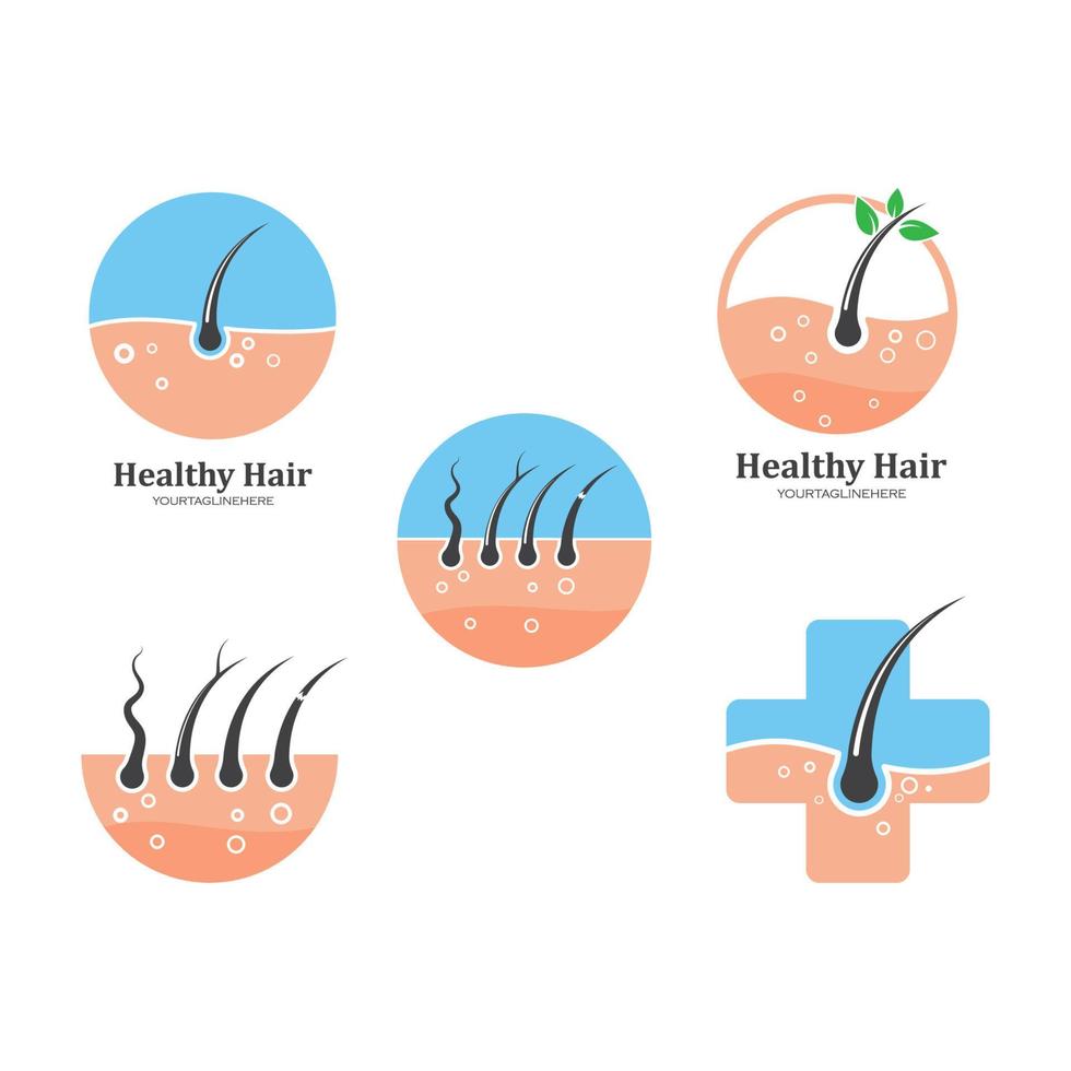 hair root icon vector illustration design