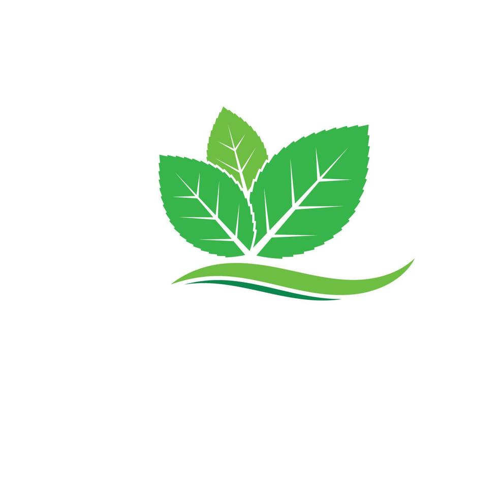 green leaf ecology nature element vector icon of go green