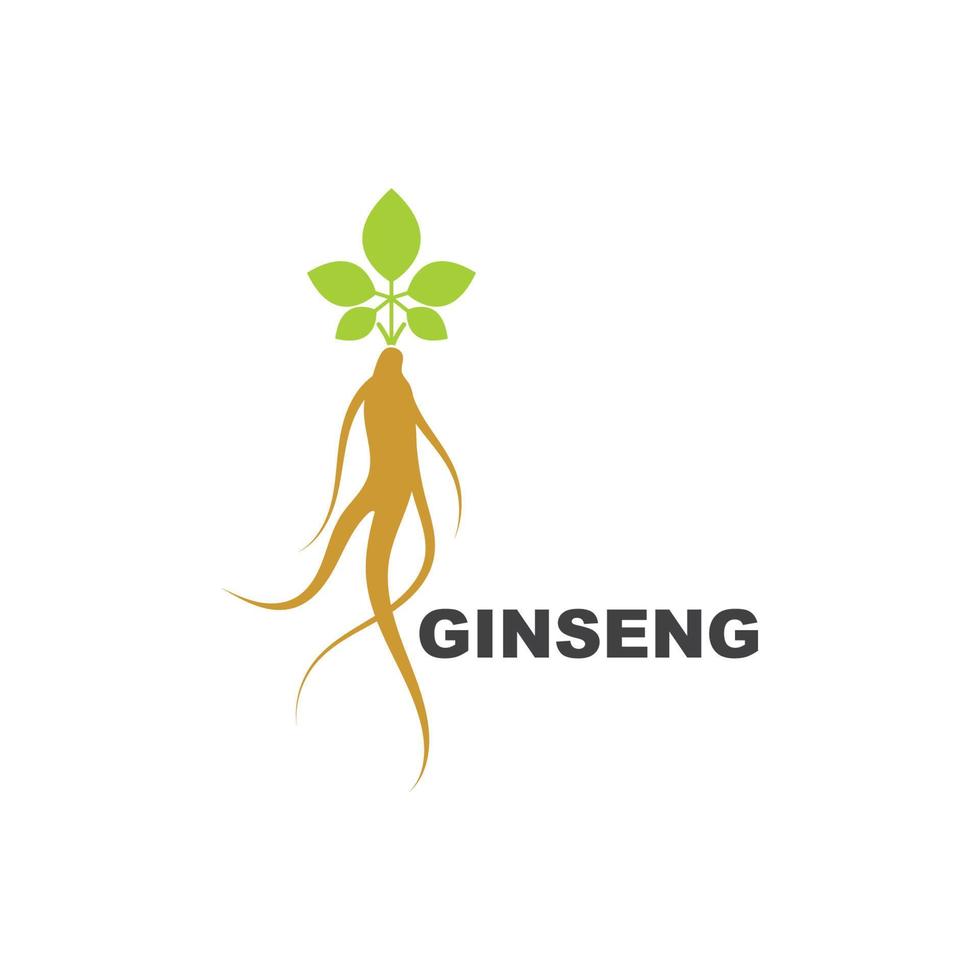 ginseng ilustración icono vector diseño