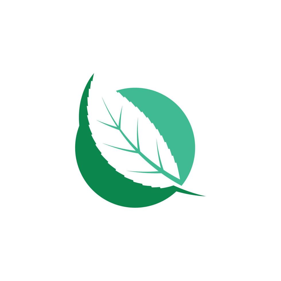 green leaf ecology nature element vector icon of go green