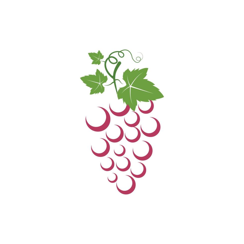 Grape fruits with leaf icon vector illustrtion