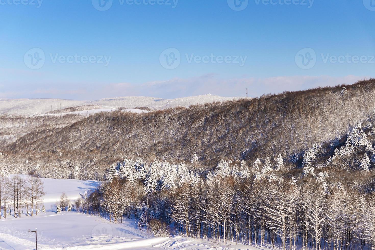 powder snow mountain in Sapporo, Hokkaido Japan photo