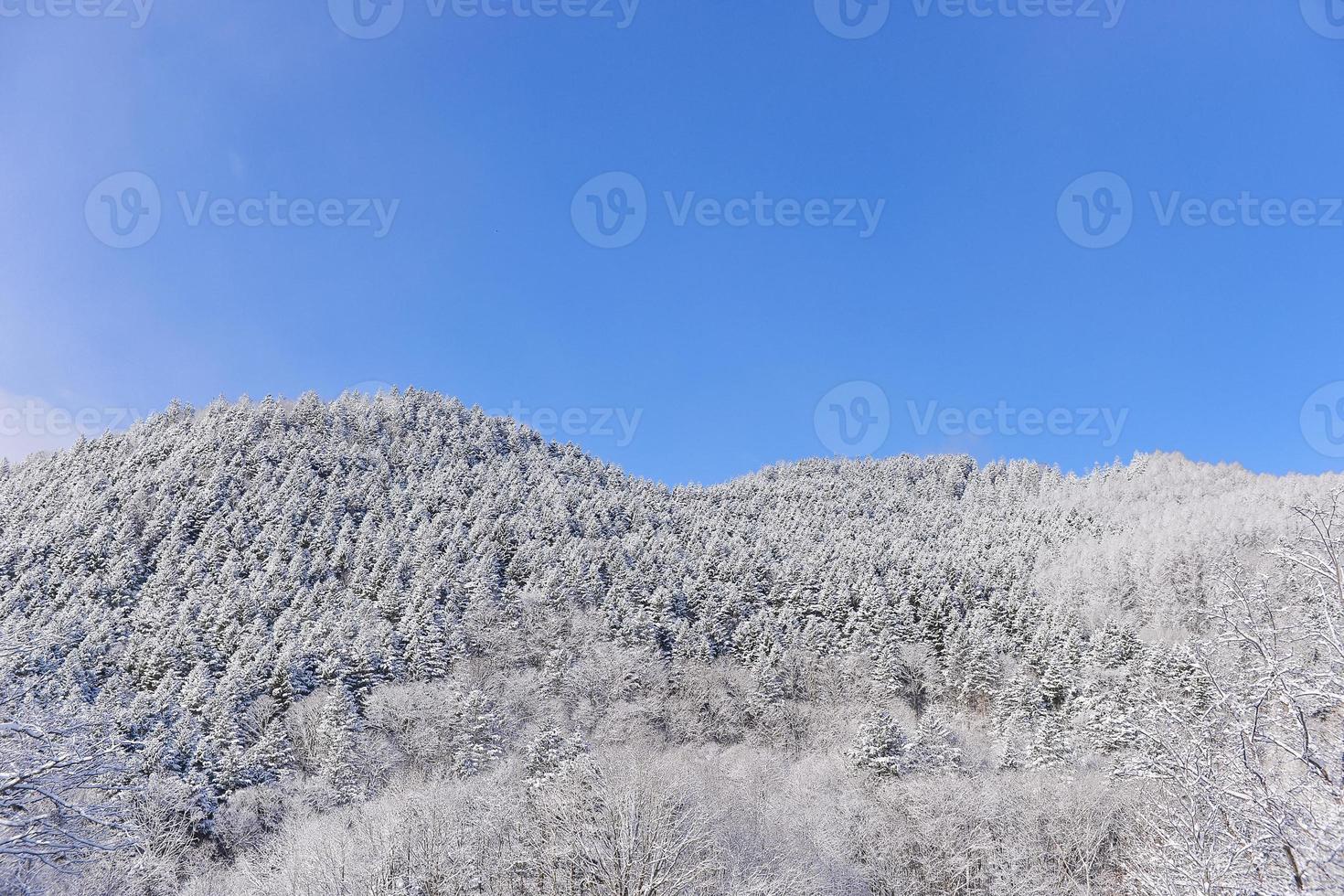 powder snow mountain in Sapporo, Hokkaido Japan photo