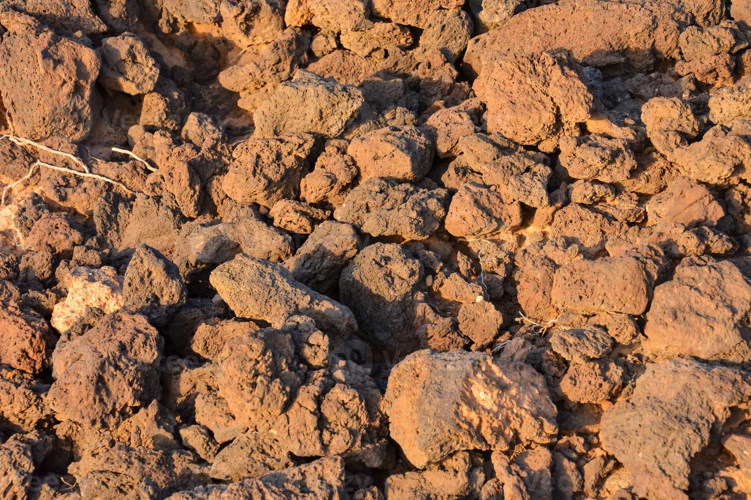 Detail of a dry ground photo