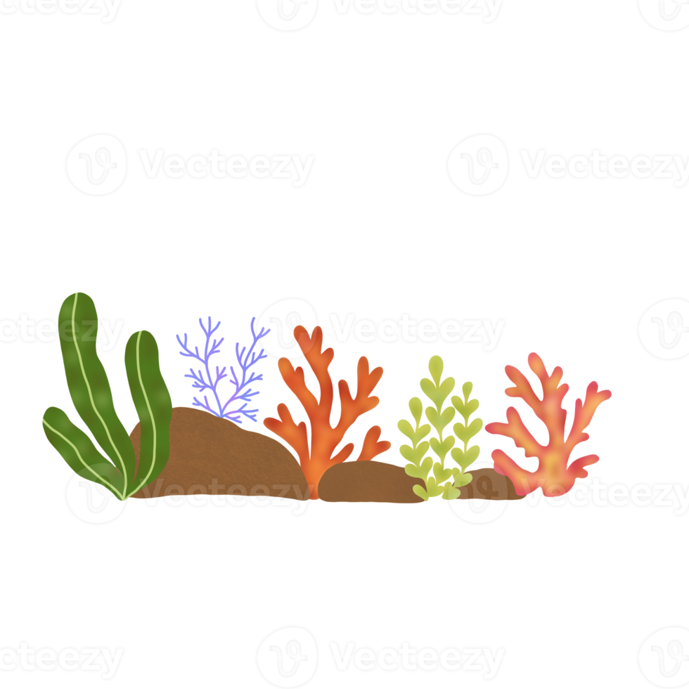 Coral Reef Composition png