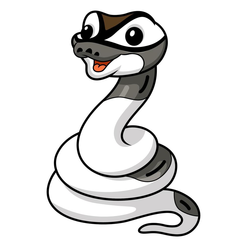 Cute axanthic pied ball python cartoon vector