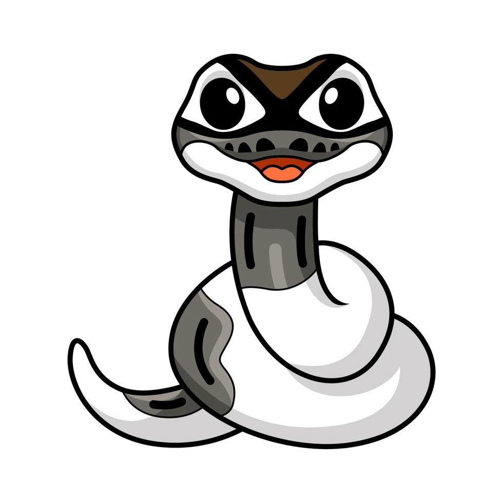 Cute axanthic pied ball python cartoon vector